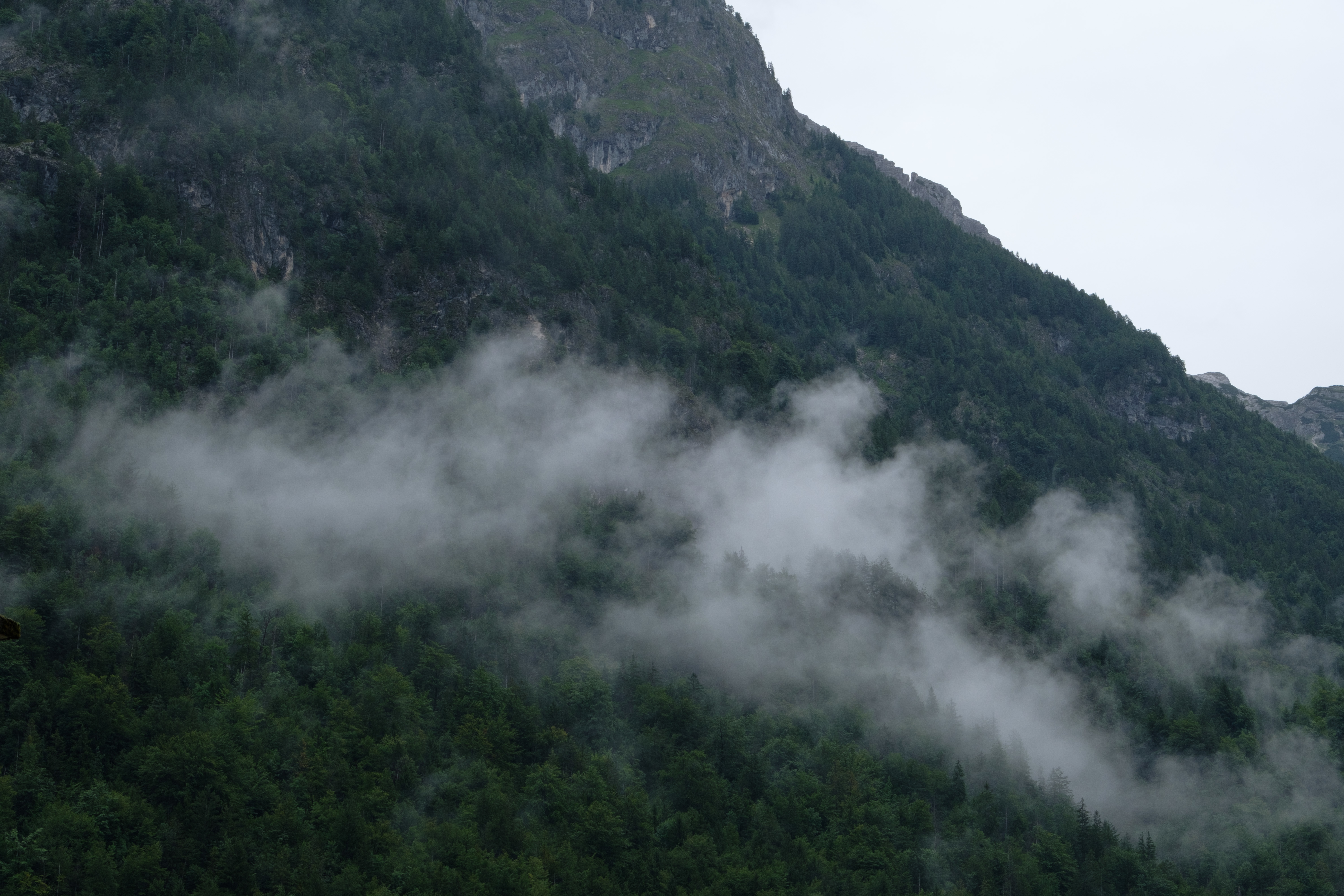 Click image for larger version

Name:	MISTY_MOUNTAINS_26.jpg
Views:	381
Size:	4.61 MB
ID:	1064792