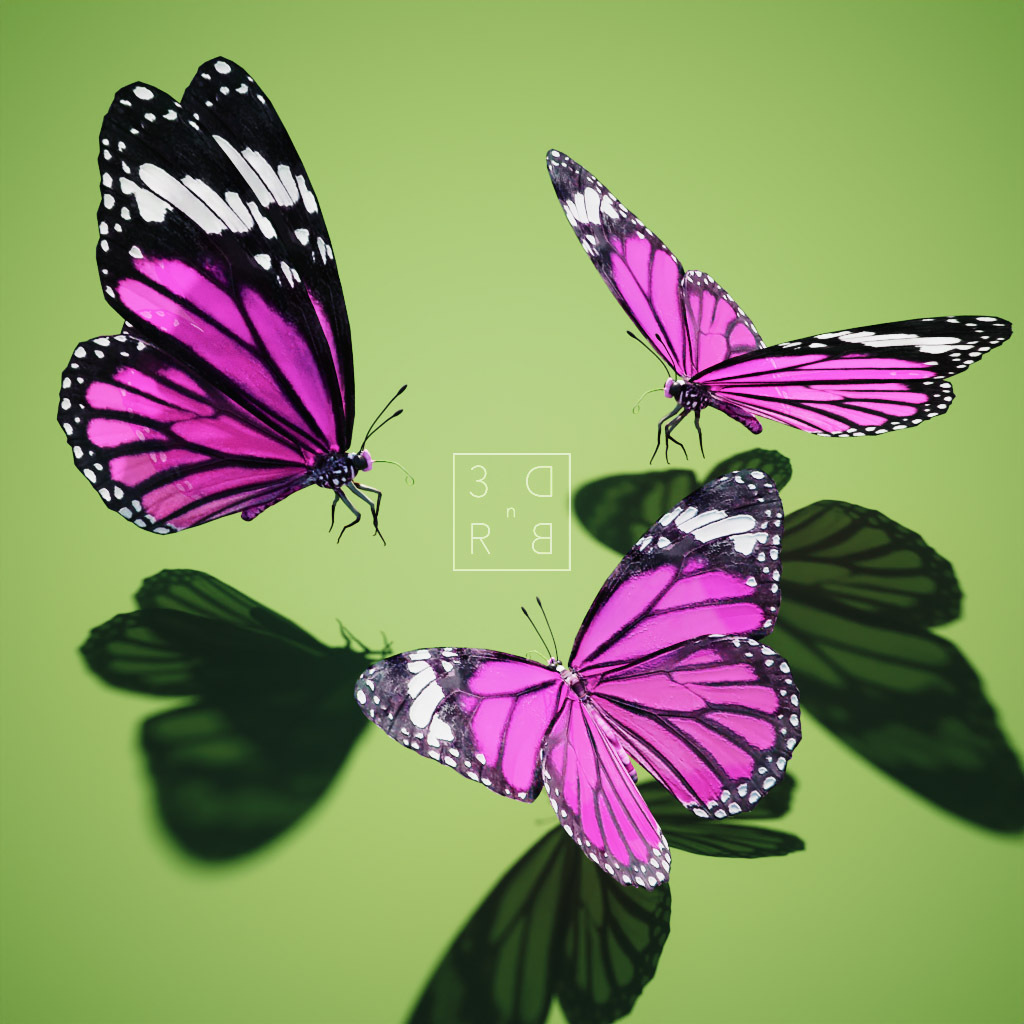 Click image for larger version

Name:	butterfly.jpg
Views:	389
Size:	217.1 KB
ID:	1127211