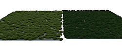 Click image for larger version  Name:	grass copy.jpg Views:	0 Size:	1.82 MB ID:	1155324