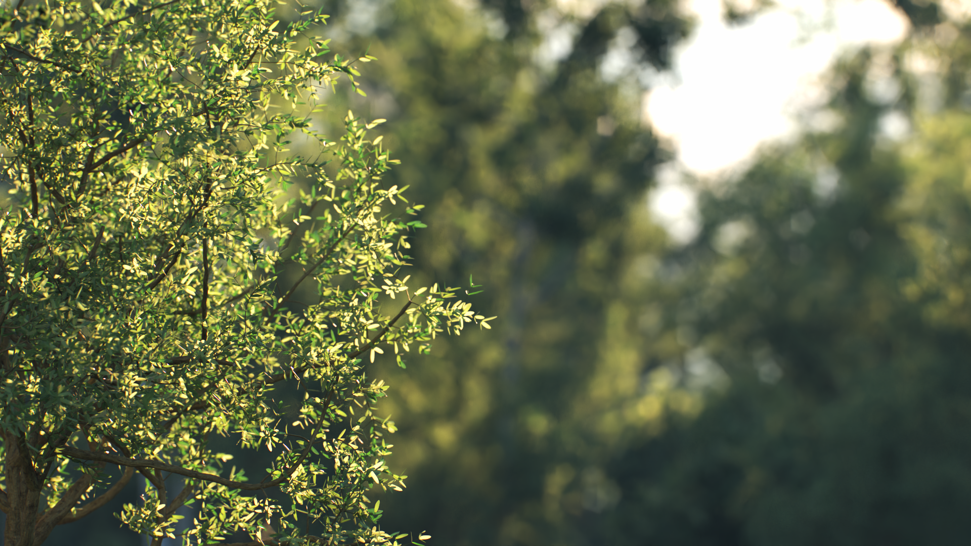 Click image for larger version

Name:	Tree1h_render5.png_14.png
Views:	299
Size:	2.76 MB
ID:	1204017