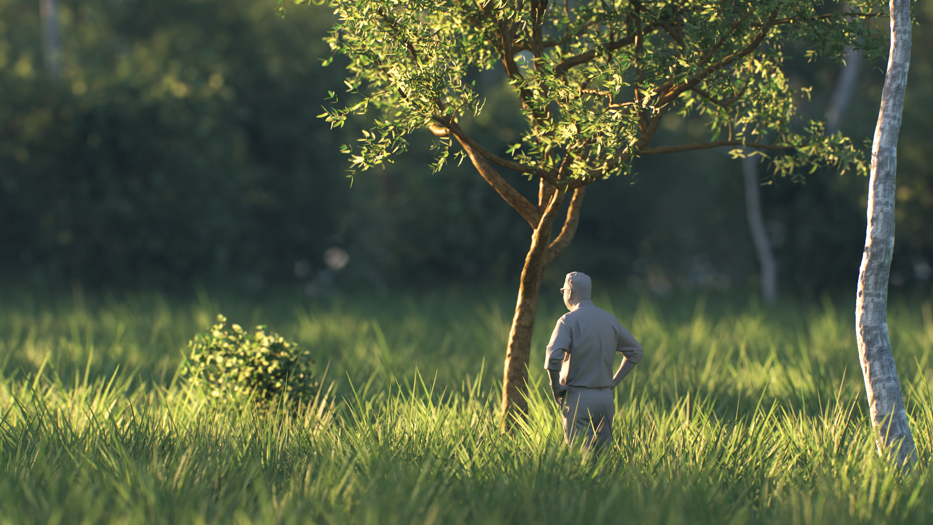 Click image for larger version

Name:	Tree1h_render5.png_13.png
Views:	307
Size:	2.69 MB
ID:	1204018