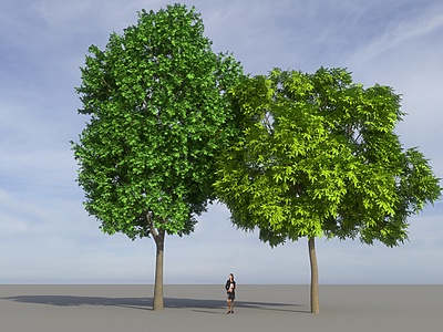 Click image for larger version

Name:	Trees.jpg
Views:	301
Size:	1.73 MB
ID:	1004780