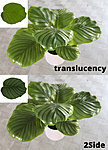 Click image for larger version

Name:	trannslucency_comparison_2.jpg
Views:	1523
Size:	1.11 MB
ID:	1104352