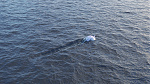 Click image for larger version

Name:	Ocean_Simulated_Render.jpg
Views:	45
Size:	837.6 KB
ID:	1223808