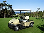 Click image for larger version

Name:	golfcart10.jpg
Views:	223
Size:	109.2 KB
ID:	842179