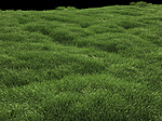 Click image for larger version

Name:	Test of Grass 4.jpg
Views:	408
Size:	436.4 KB
ID:	842212