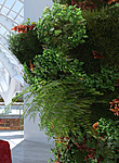 Click image for larger version

Name:	foliage_wip.jpg
Views:	204
Size:	266.8 KB
ID:	855535