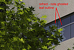 Click image for larger version

Name:	tree refract test00 copy.jpg
Views:	587
Size:	80.4 KB
ID:	868279