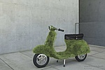 Click image for larger version

Name:	Vespa_grass_klein.jpg
Views:	682
Size:	136.9 KB
ID:	879076